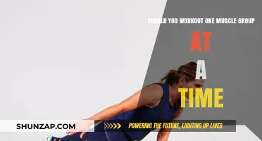 Single Muscle Workouts: Effective Strategy or Time-Wasting Myth?