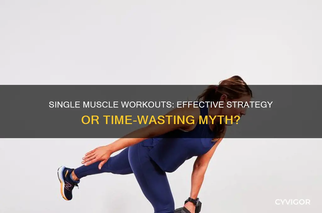 should you workout one muscle group at a time