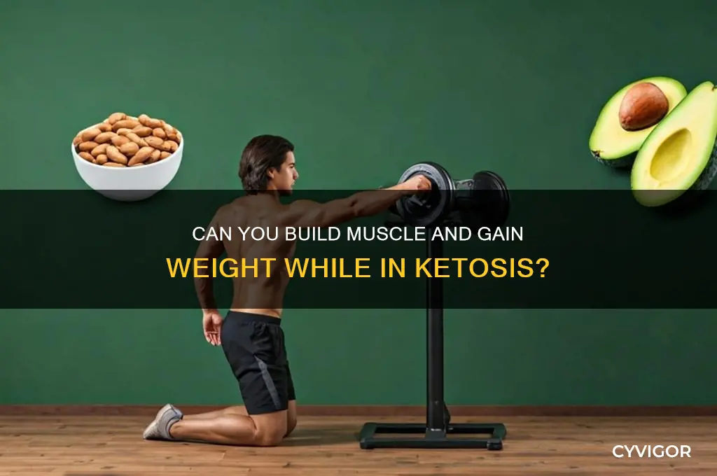 should you workout to gain weight and muscle during ketosis