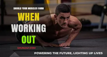 Muscle Burn During Workouts: Pain or Gain? Understanding the Science