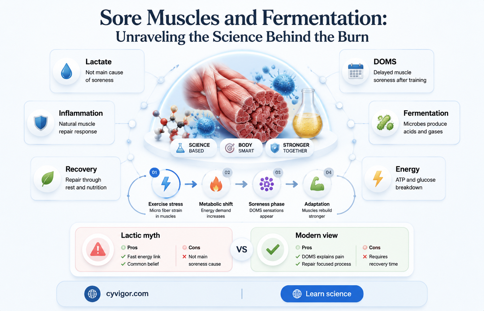 are sore muscles made from fermentation
