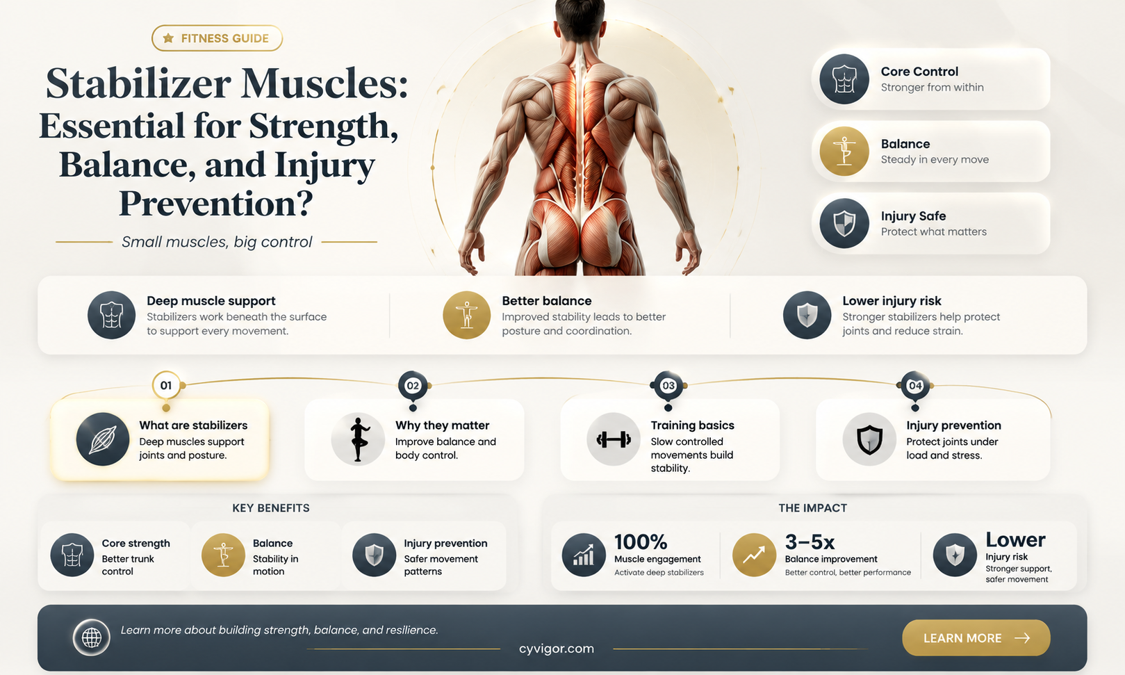 are stabilizer muscles good