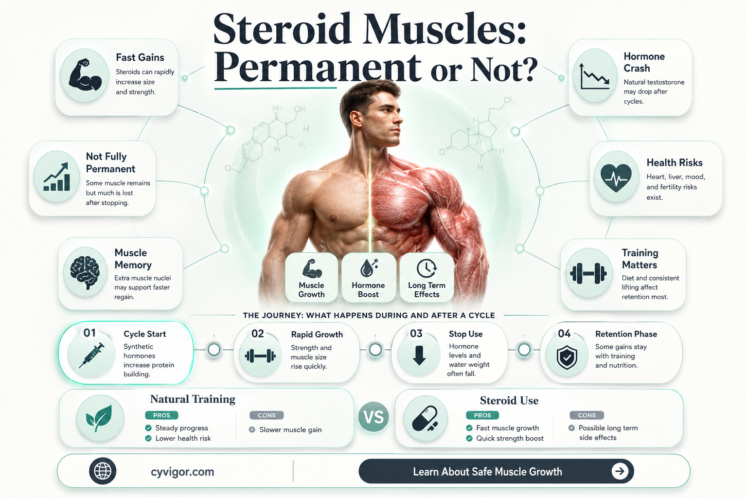 are muscles from steriods perminant