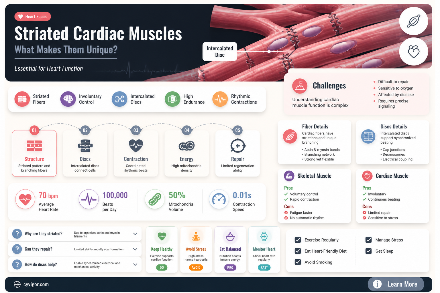 are cardiac muscles striated