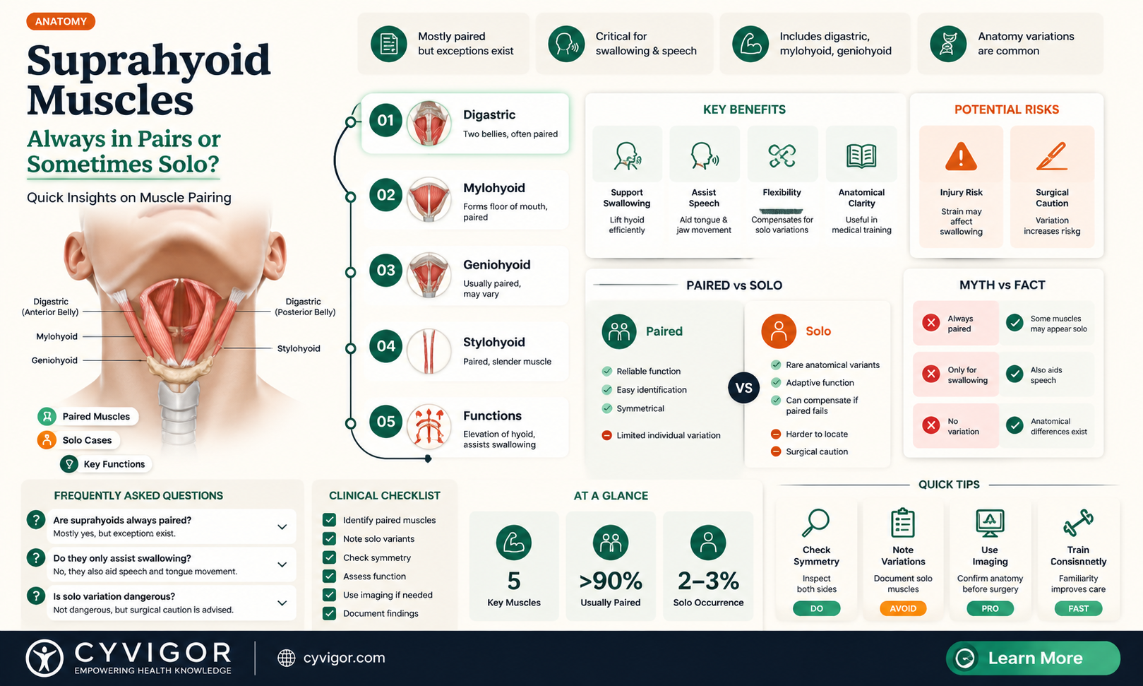are all suprahyoid muscles paired