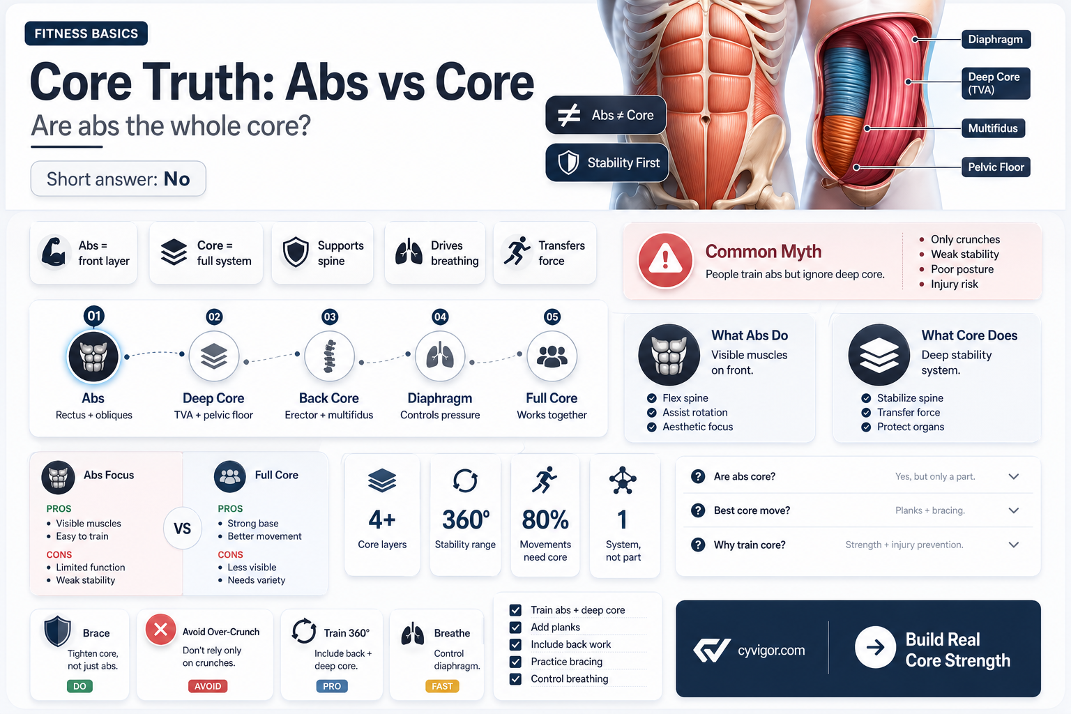 are abs core muscles