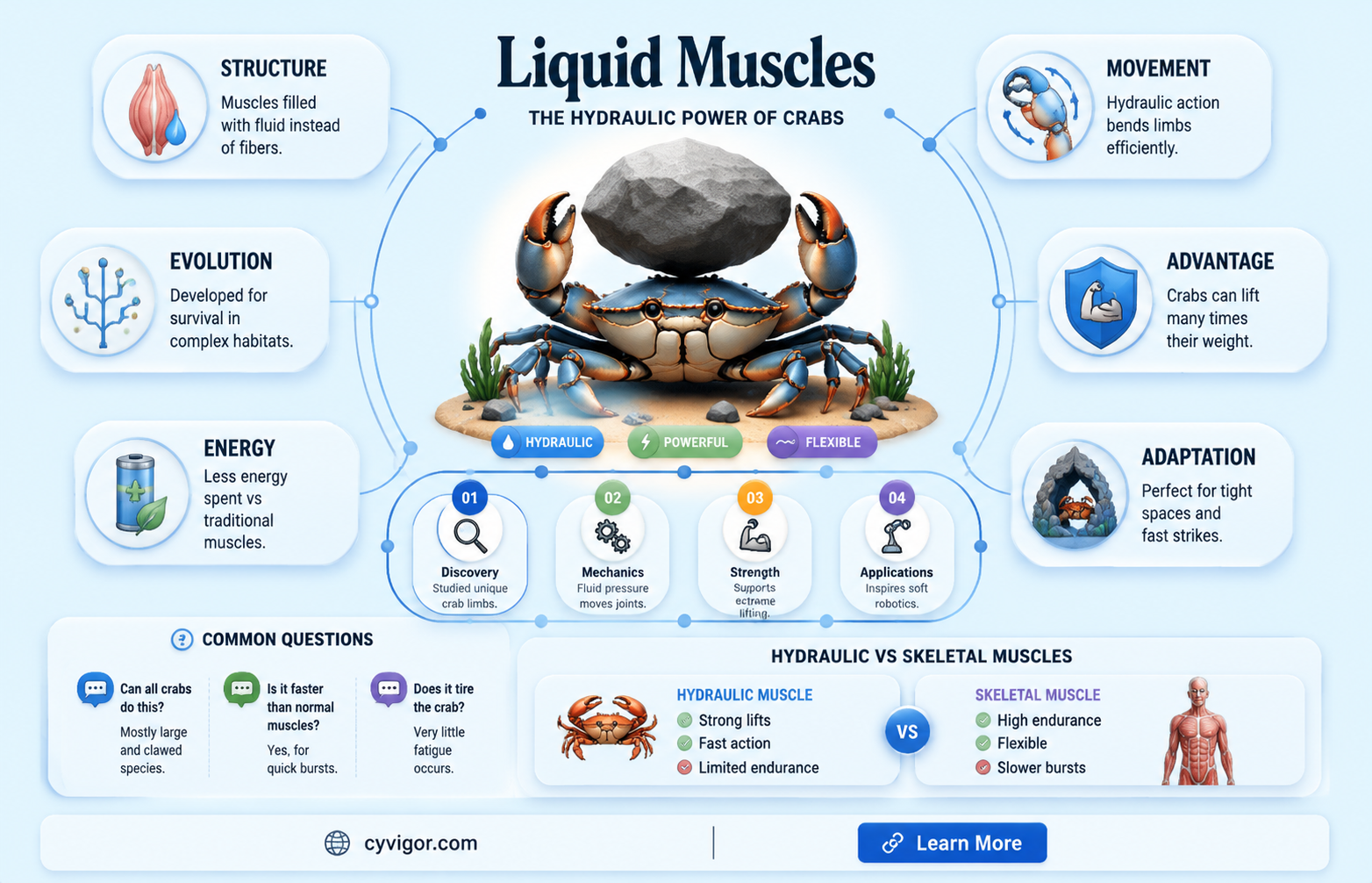 are crab muscles liquid