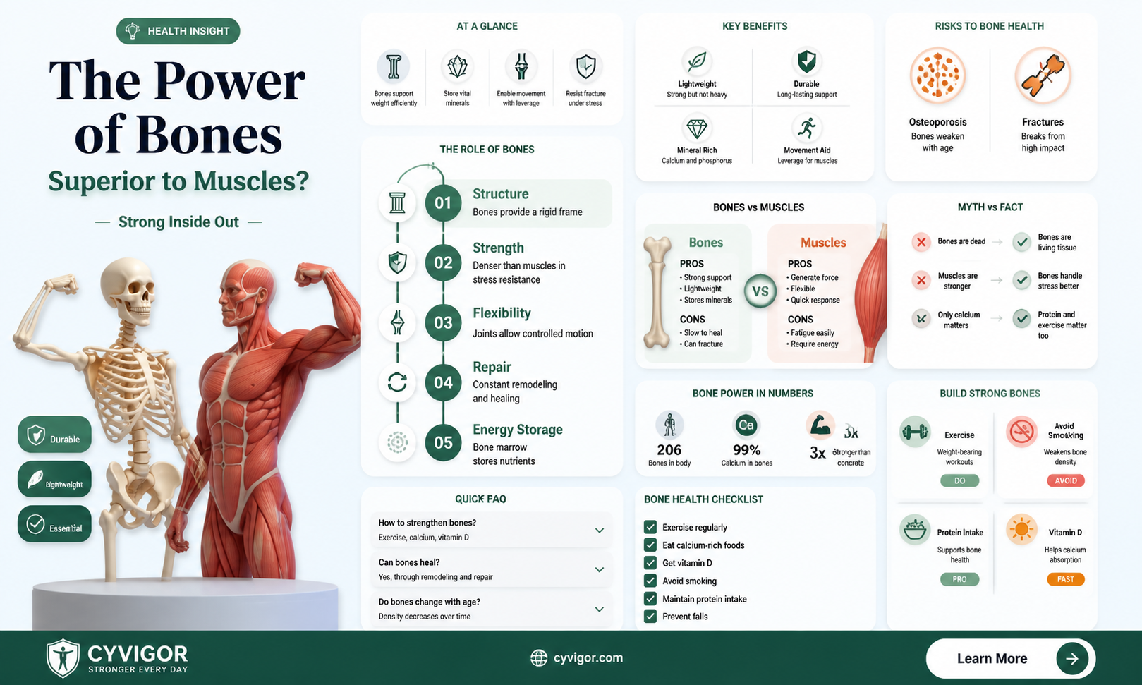are bones over muscles