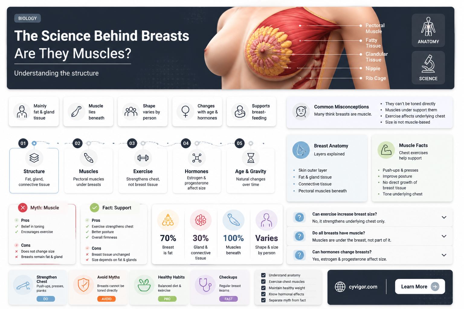 are girls boobs muscles