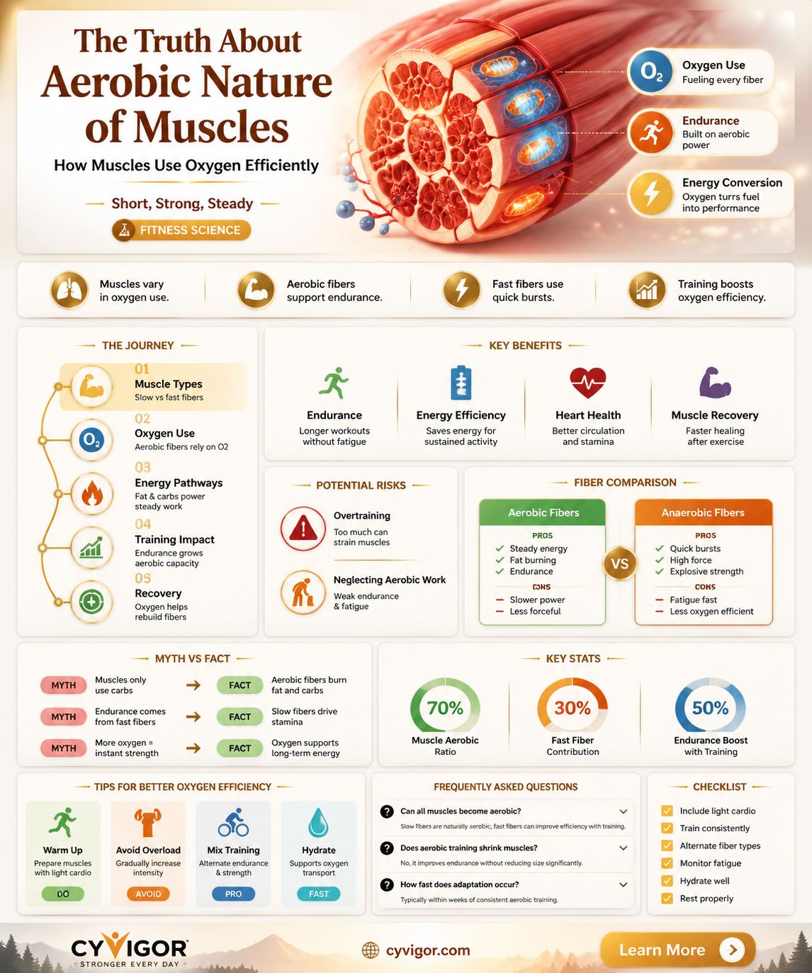 are all muscles aerobic