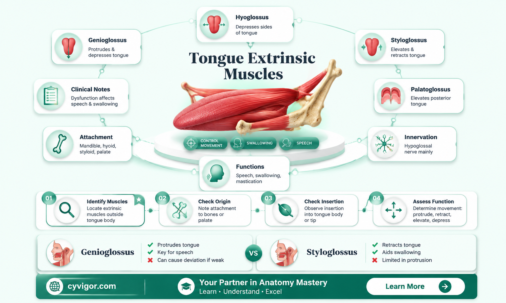 are extrinsic tongue muscles paired