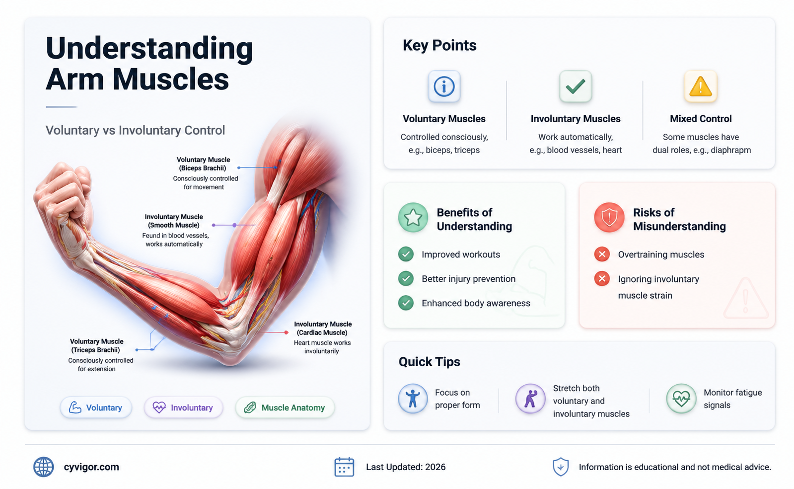 are arm muscles voluntary or involuntary