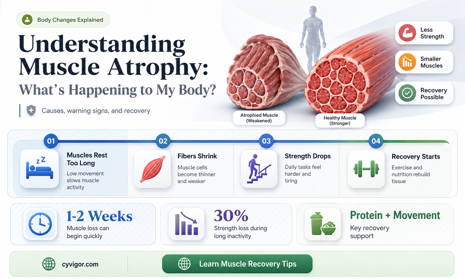 are my muscles atrophying