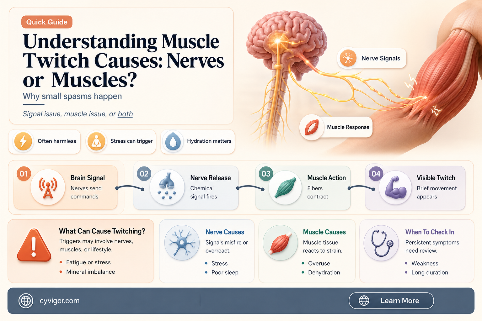 are muscle twitches caused by nerves or muscles