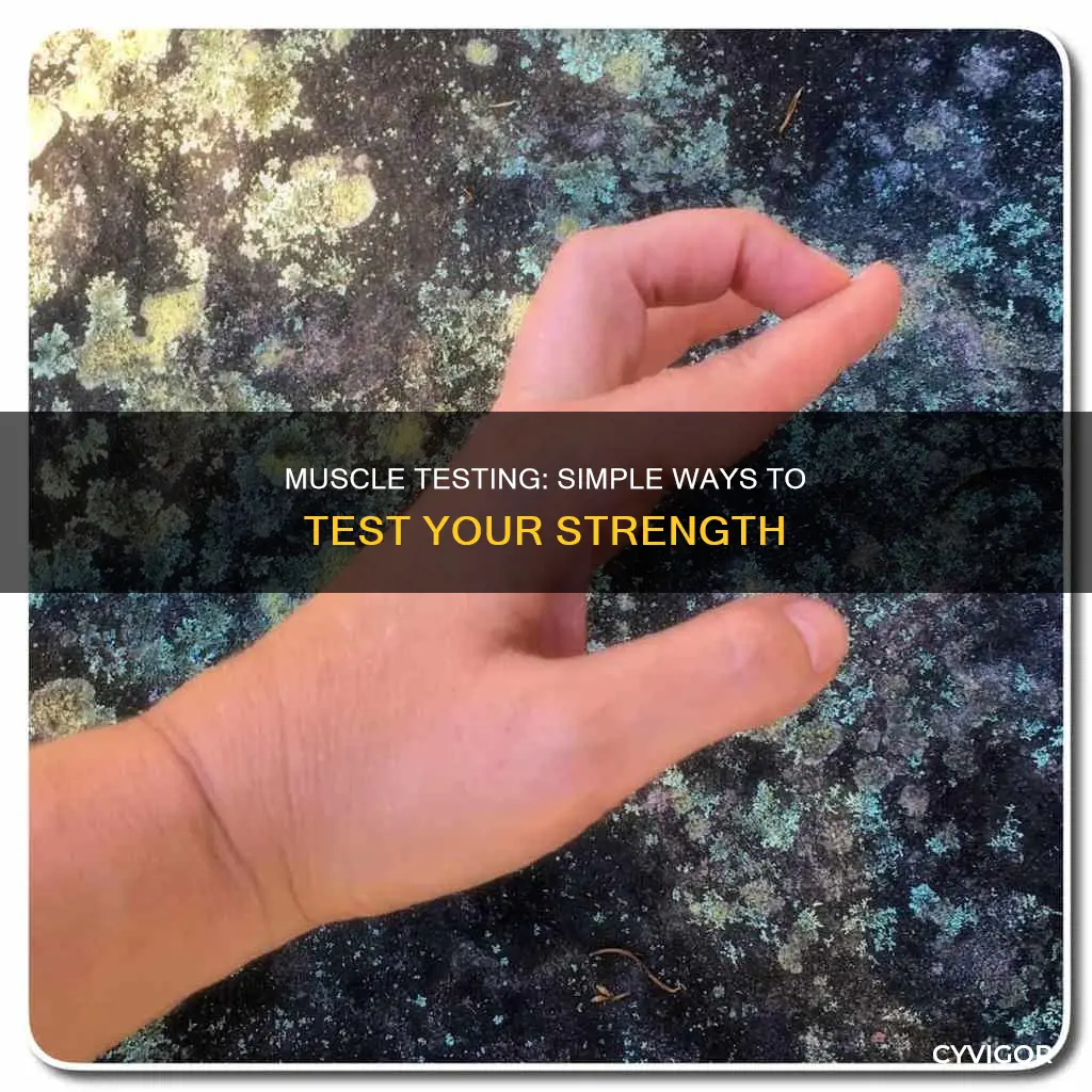 was to muscle test