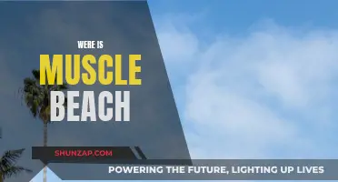 Muscle Beach: A Historical Outdoor Gym in Venice Beach