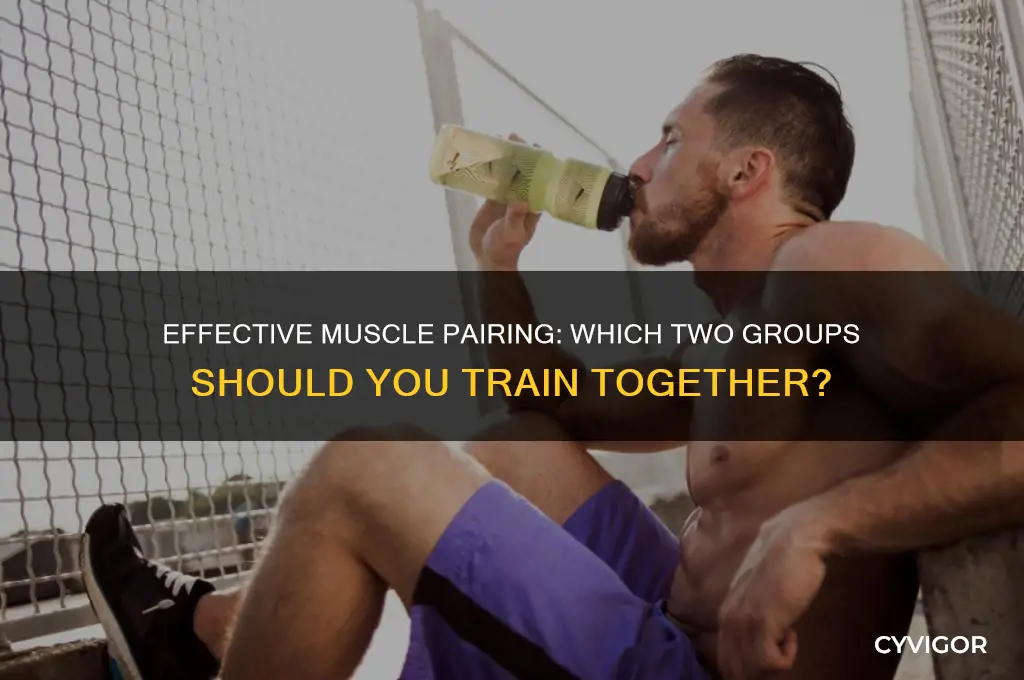 what 2 muscle groups should i work out together