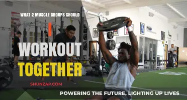 Effective Muscle Pairing: Which Two Groups Should You Train Together?