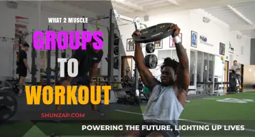 Maximize Gains: Pairing the Best Muscle Groups for Workouts