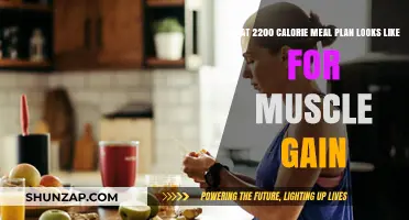 High-Calorie Muscle Gain Meal Plan: 2200 Calorie Blueprint