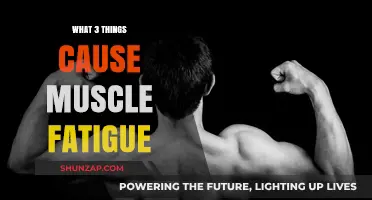 Muscle Fatigue: Three Key Triggers