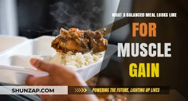 Building Muscle: Crafting Balanced Meals for Optimal Growth and Strength