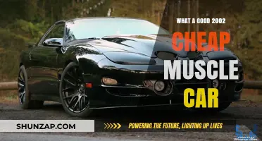 Reviving the Classics: Affordable Muscle Cars of 2002