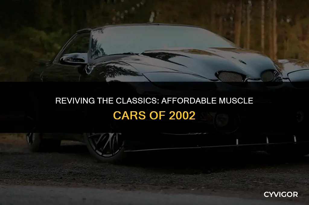 what a good 2002 cheap muscle car