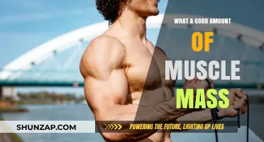Building Strength: Understanding the Ideal Muscle Mass for Your Body