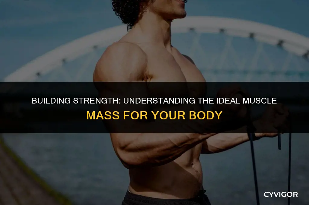 what a good amount of muscle mass