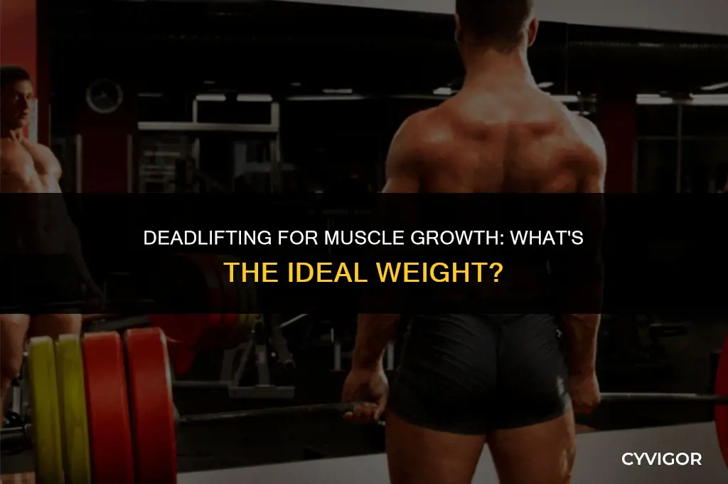 what a good deadlift weight for muscles