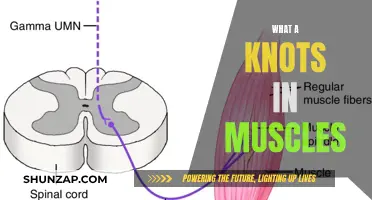 Knots in Muscles: Understanding the Painful Mystery