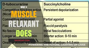 Understanding Muscle Relaxants: How They Work and Relieve Pain