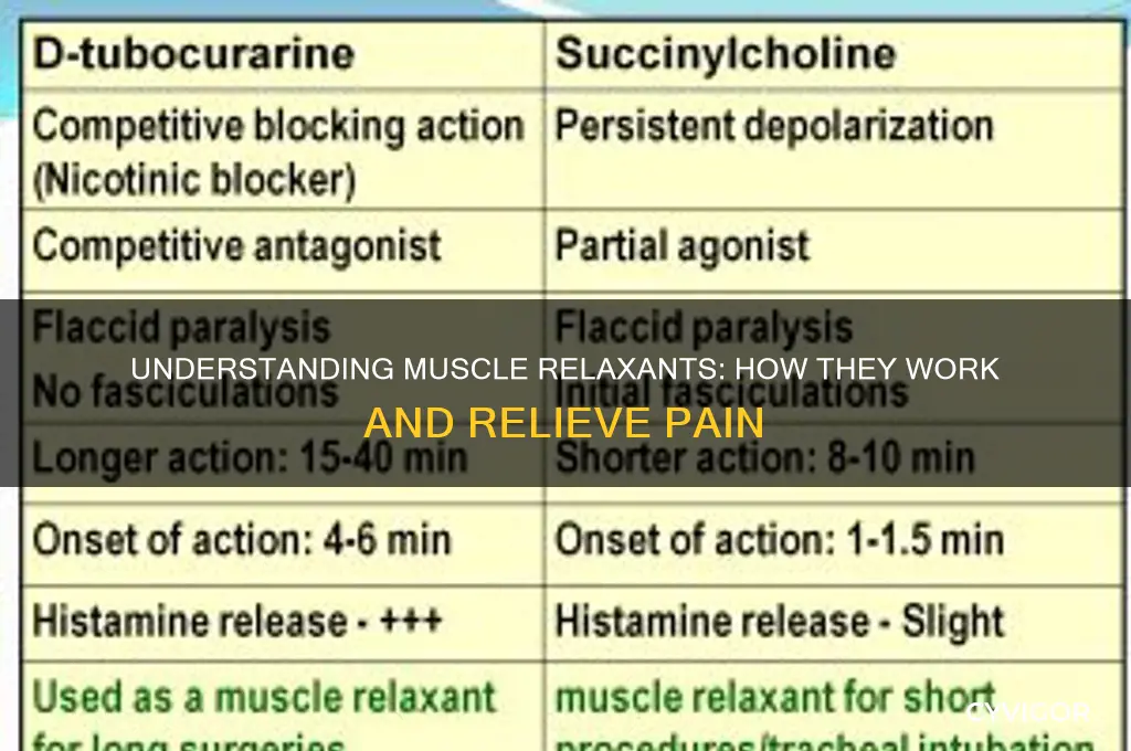 what a muscle relaxant does