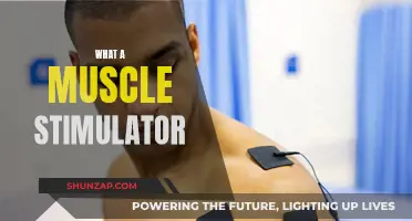 Muscle Stimulators: How Do They Work?