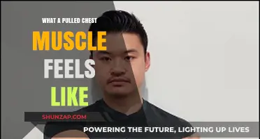 Pulled Chest Muscle Symptoms: Pain, Tenderness, and Recovery Insights