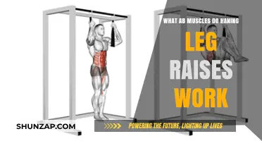 Hanging Leg Raises: Targeting and Strengthening Your Ab Muscles