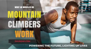 Mountain Climbers: Unlocking Core Strength and Ab Muscle Engagement