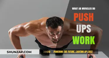 Push-Ups and Abs: How This Exercise Strengthens Your Core Muscles
