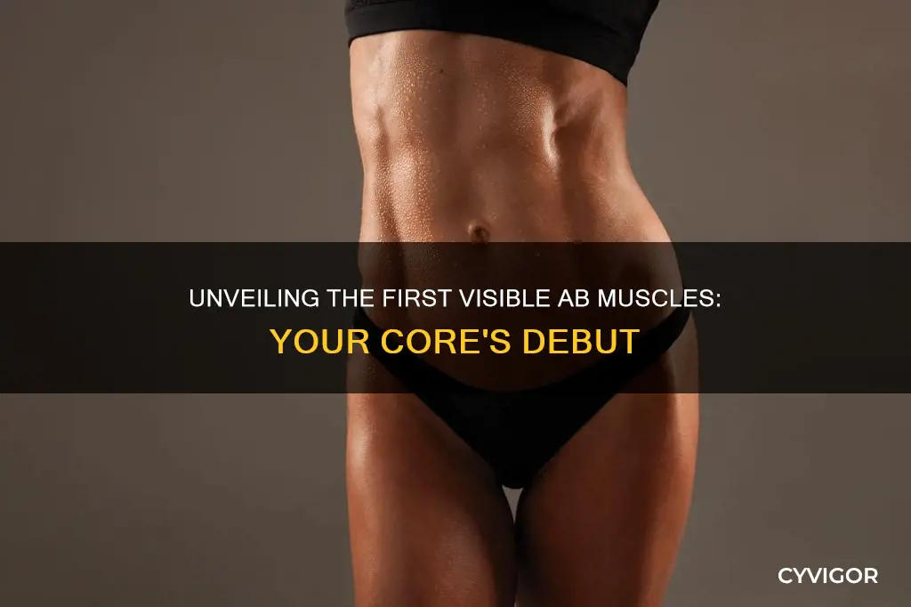what ab muscles show first