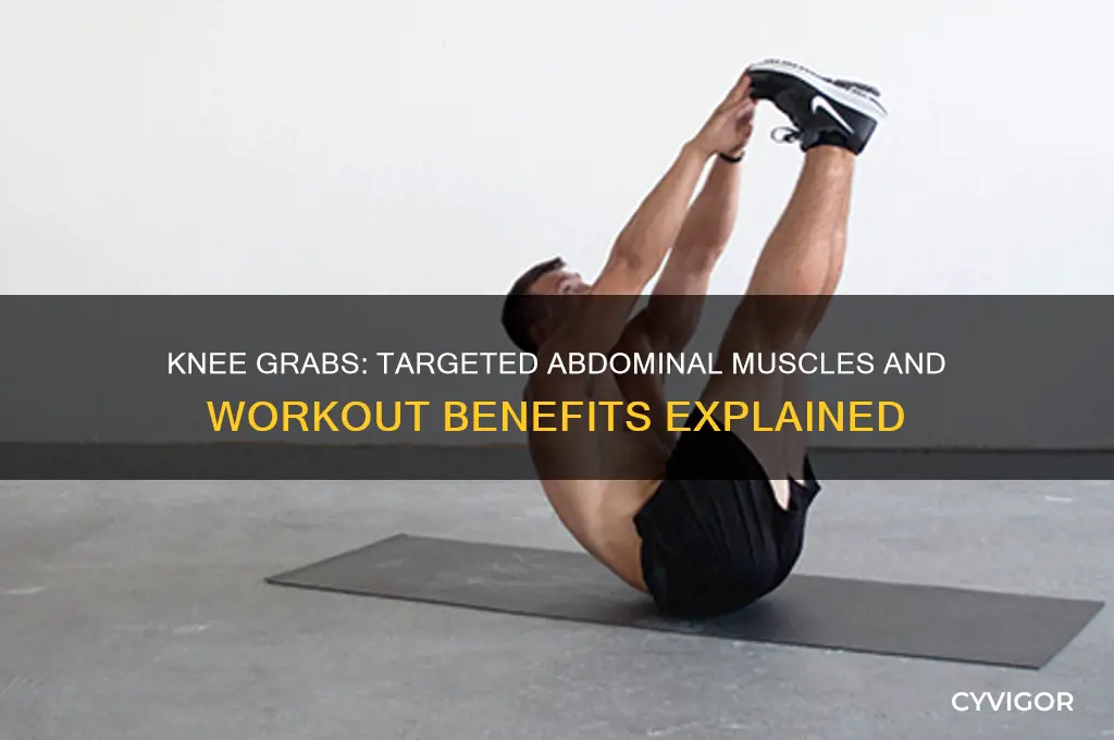what abdominal muscles do knee grabs work
