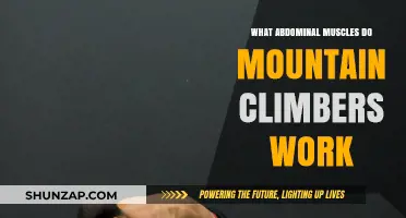 Mountain Climbers: Targeted Abdominal Muscles for Core Strength and Stability