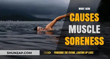 Acid-Induced Muscle Soreness: What's the Culprit?