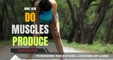 Muscle Movement: Acid Produced by Muscles