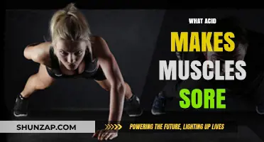 Unraveling Muscle Soreness: The Role of Lactic Acid Explained