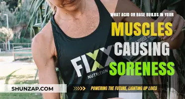 Lactic Acid: Understanding Post-Workout Muscle Soreness