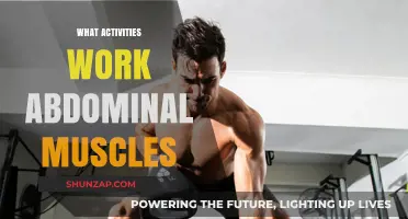 Effective Abdominal Exercises to Strengthen and Tone Your Core Muscles