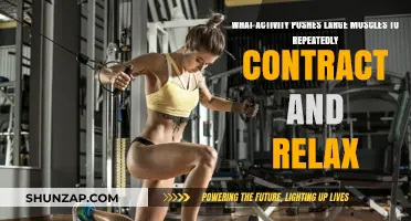 Powerful Workouts: Activities That Engage Large Muscles Through Contraction and Relaxation