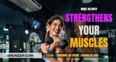 Muscle-Strengthening Activities: The Ultimate Guide to Get Stronger