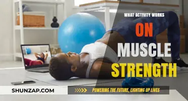 Effective Activities to Build and Enhance Muscle Strength